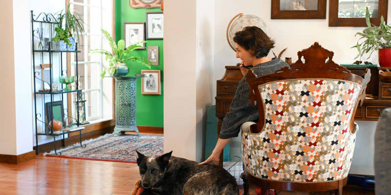 9 Elevated Dog Beds Your Furry Friend Will Love